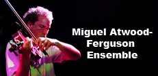 Miguel Atwood-Ferguson Ensemble “Drips/Take Notice” feat Flying Lotus